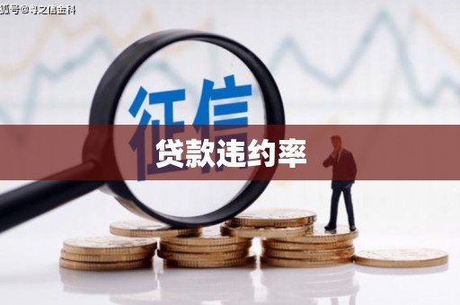 包河贷款违约率