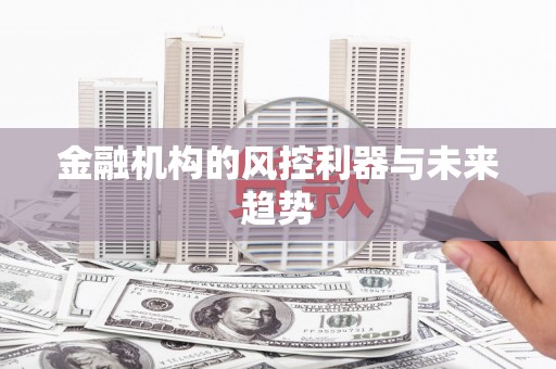 包河金融机构的风控利器与未来趋势