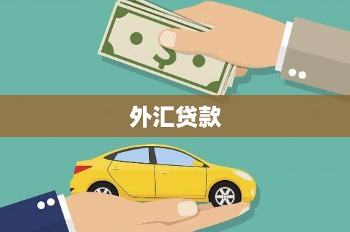 包河外汇贷款