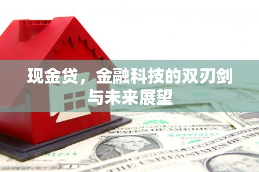包河现金贷，金融科技的双刃剑与未来展望