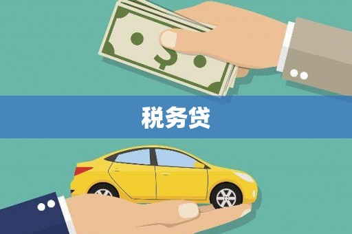 包河税务贷