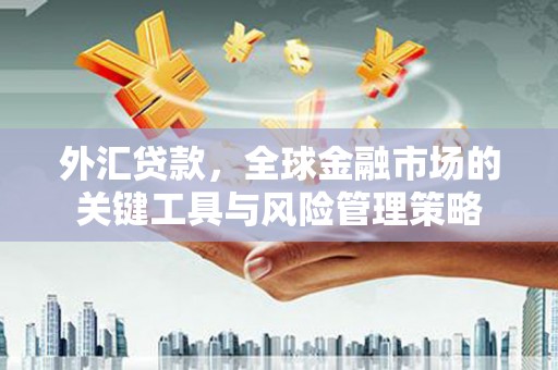 包河外汇贷款，全球金融市场的关键工具与风险管理策略