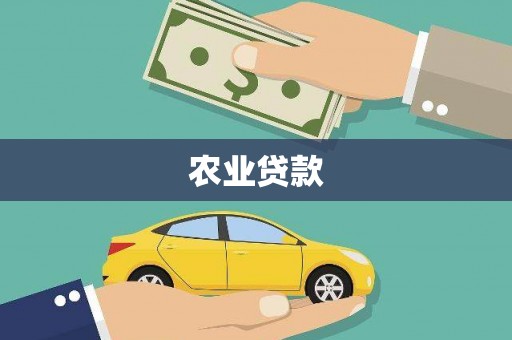 包河农业贷款