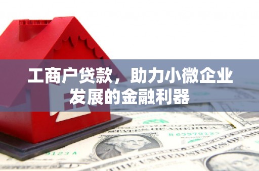 包河工商户贷款，助力小微企业发展的金融利器