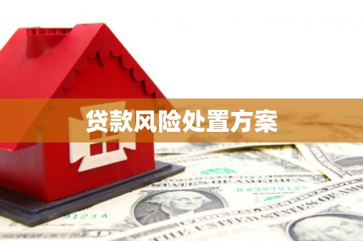 包河贷款风险处置方案