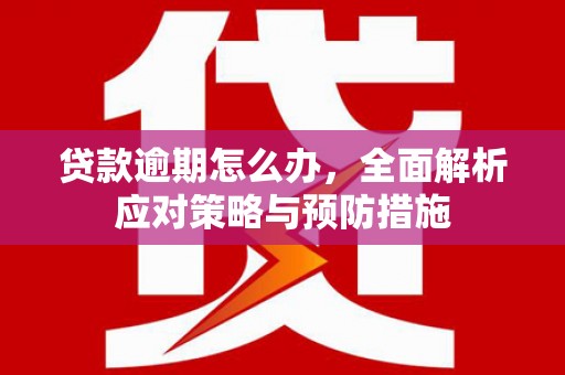 包河贷款逾期怎么办，全面解析应对策略与预防措施