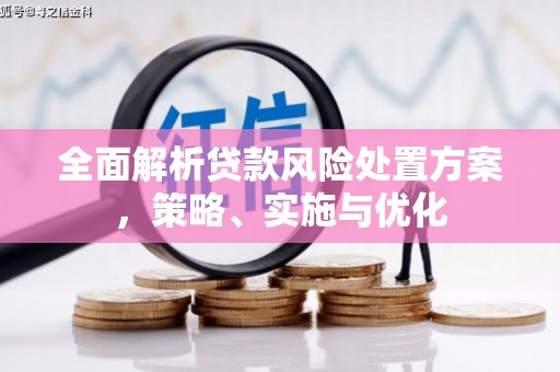 包河全面解析贷款风险处置方案，策略、实施与优化
