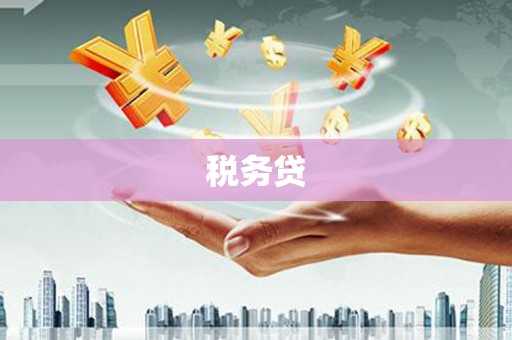 包河税务贷