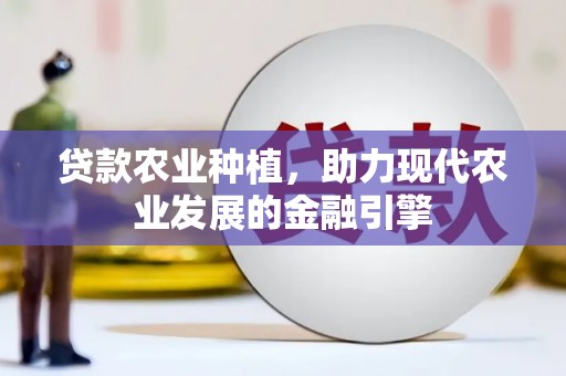 包河贷款农业种植，助力现代农业发展的金融引擎