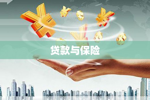 包河贷款与保险