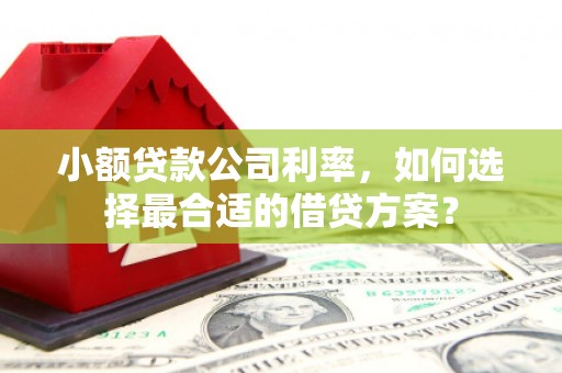 包河小额贷款公司利率，如何选择最合适的借贷方案？