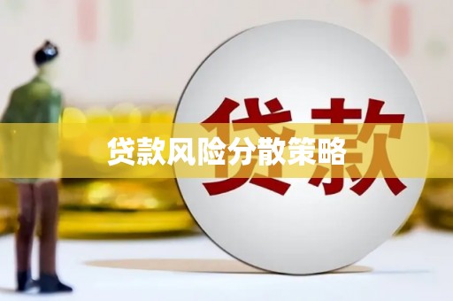 包河贷款风险分散策略