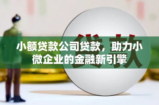 包河小额贷款公司贷款，助力小微企业的金融新引擎