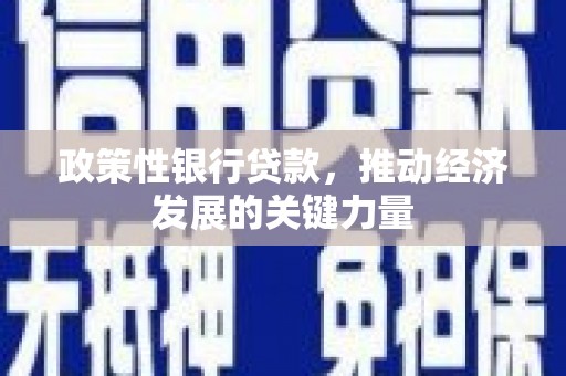 包河政策性银行贷款，推动经济发展的关键力量