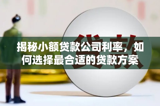 包河揭秘小额贷款公司利率，如何选择最合适的贷款方案