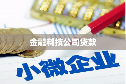 包河金融科技公司贷款