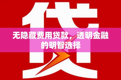 包河无隐藏费用贷款，透明金融的明智选择