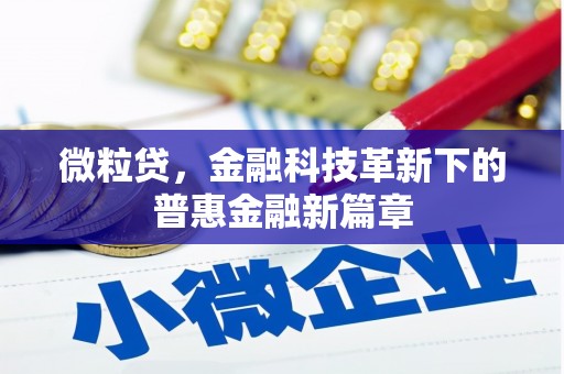 包河微粒贷，金融科技革新下的普惠金融新篇章