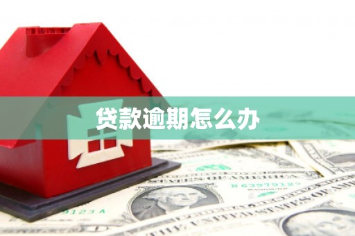 包河贷款逾期怎么办