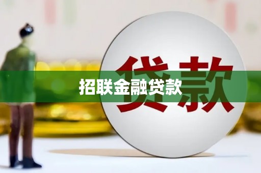 包河招联金融贷款