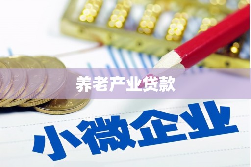 包河养老产业贷款