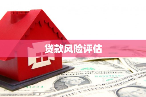 包河贷款风险评估
