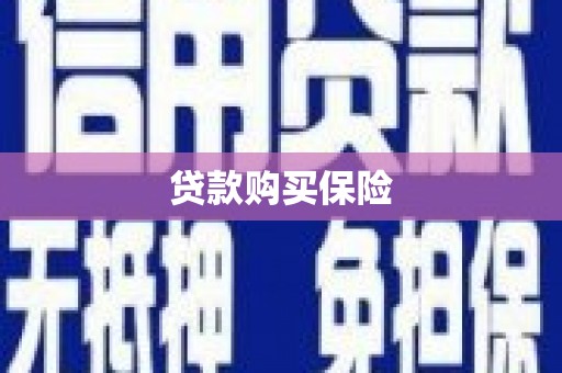 包河贷款购买保险