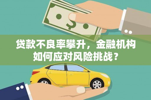 包河贷款不良率攀升，金融机构如何应对风险挑战？