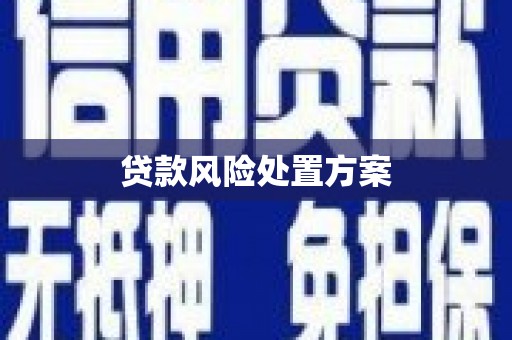 包河贷款风险处置方案