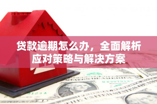 包河贷款逾期怎么办，全面解析应对策略与解决方案