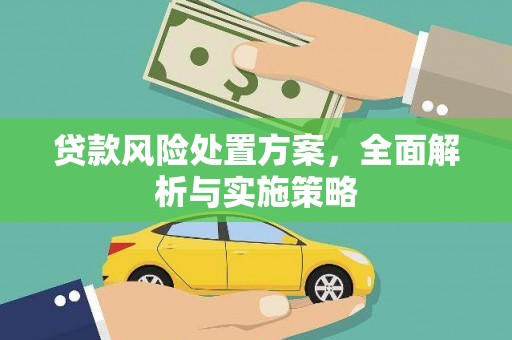 包河贷款风险处置方案，全面解析与实施策略