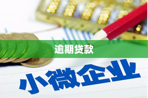 包河逾期贷款
