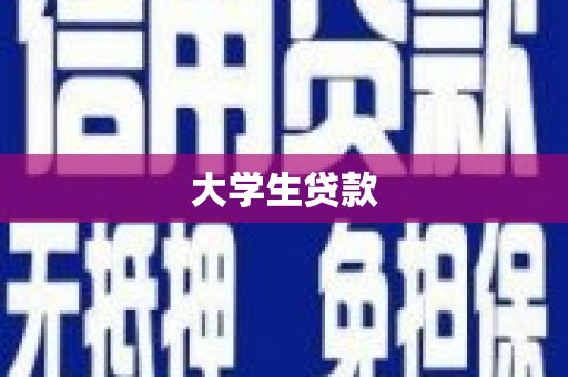 包河大学生贷款